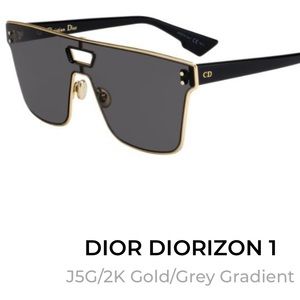 diorizon sunglasses